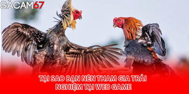 tại sao bạn nên tham gia trỉa nghiệm web daga gamcam67